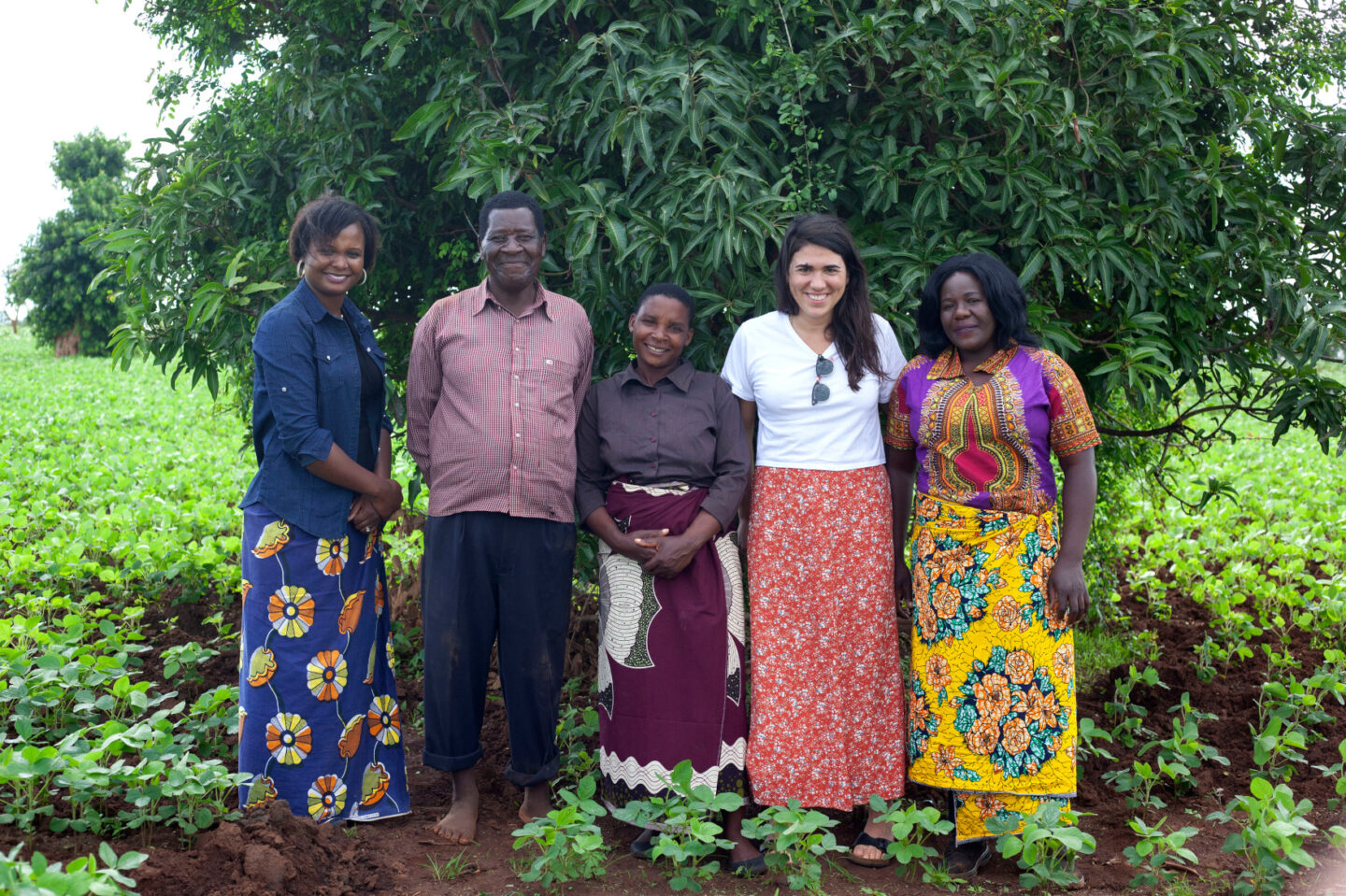 Clinton Foundation staff and farmers stand in front of a soybean field in Malawi