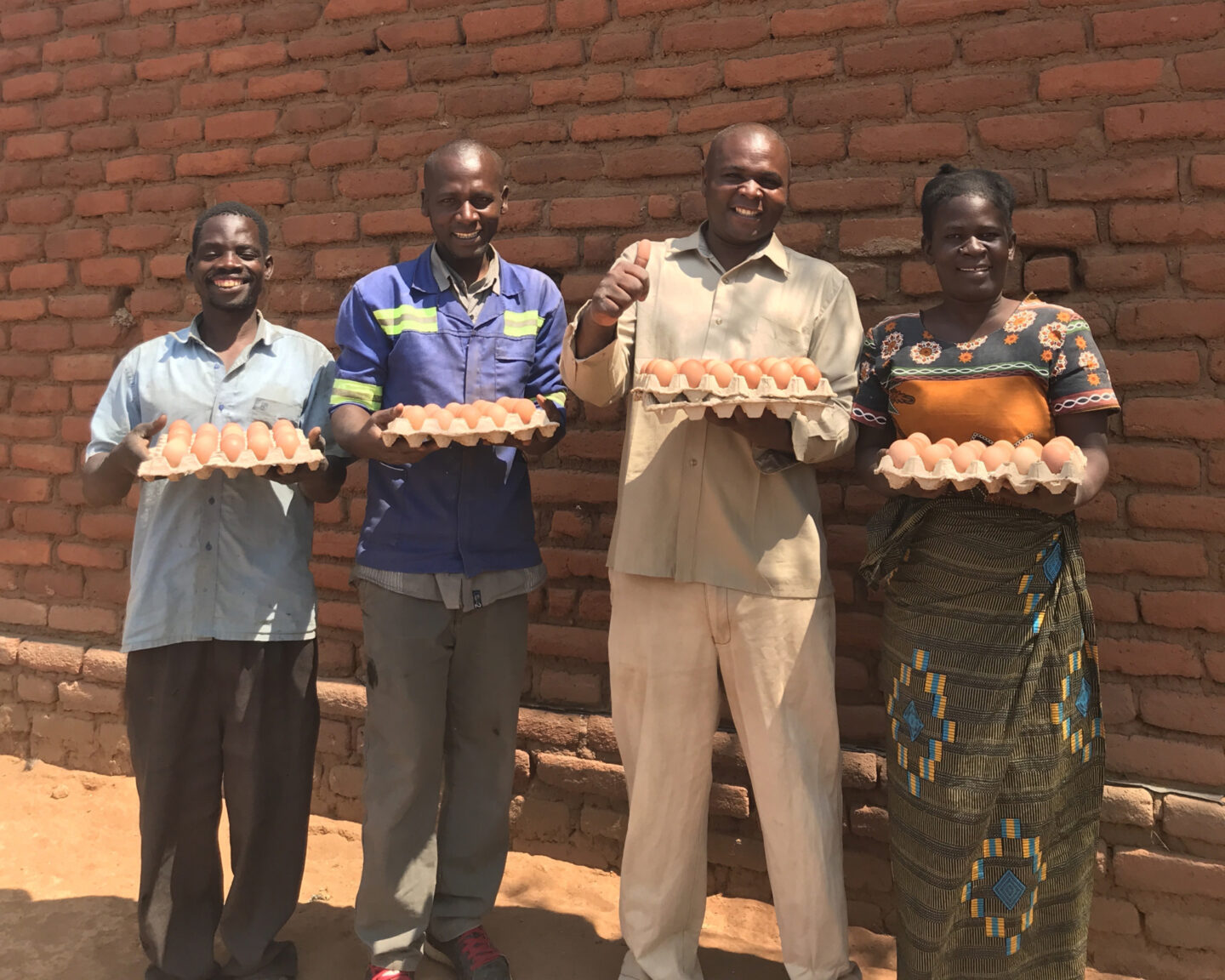 A group of farmers hold cartons of eggs in Malawi