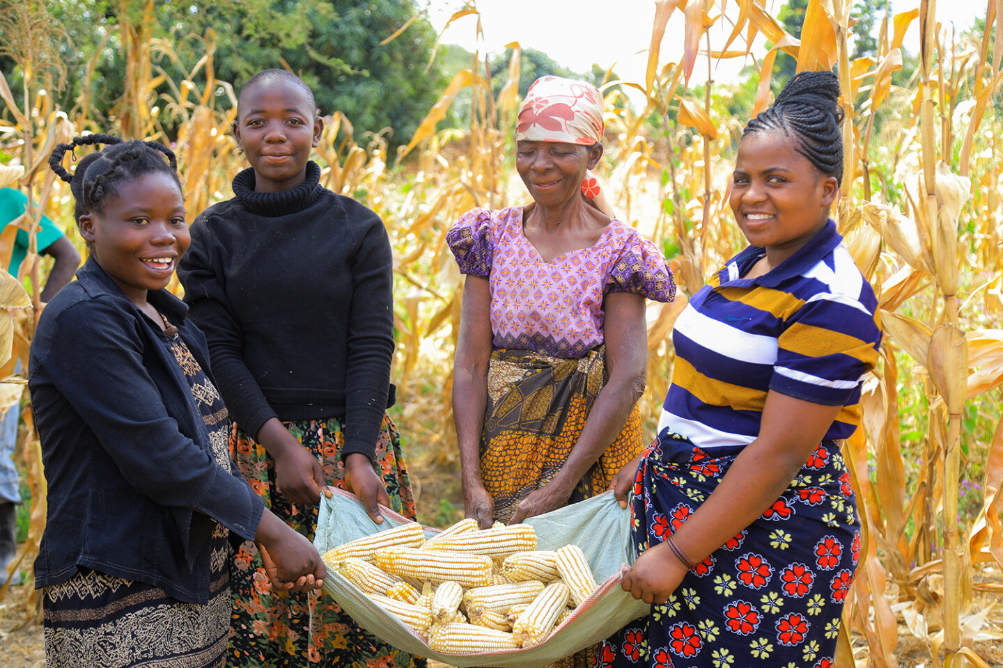 A group of farmers hold some freshly harvested maize in Tanzania