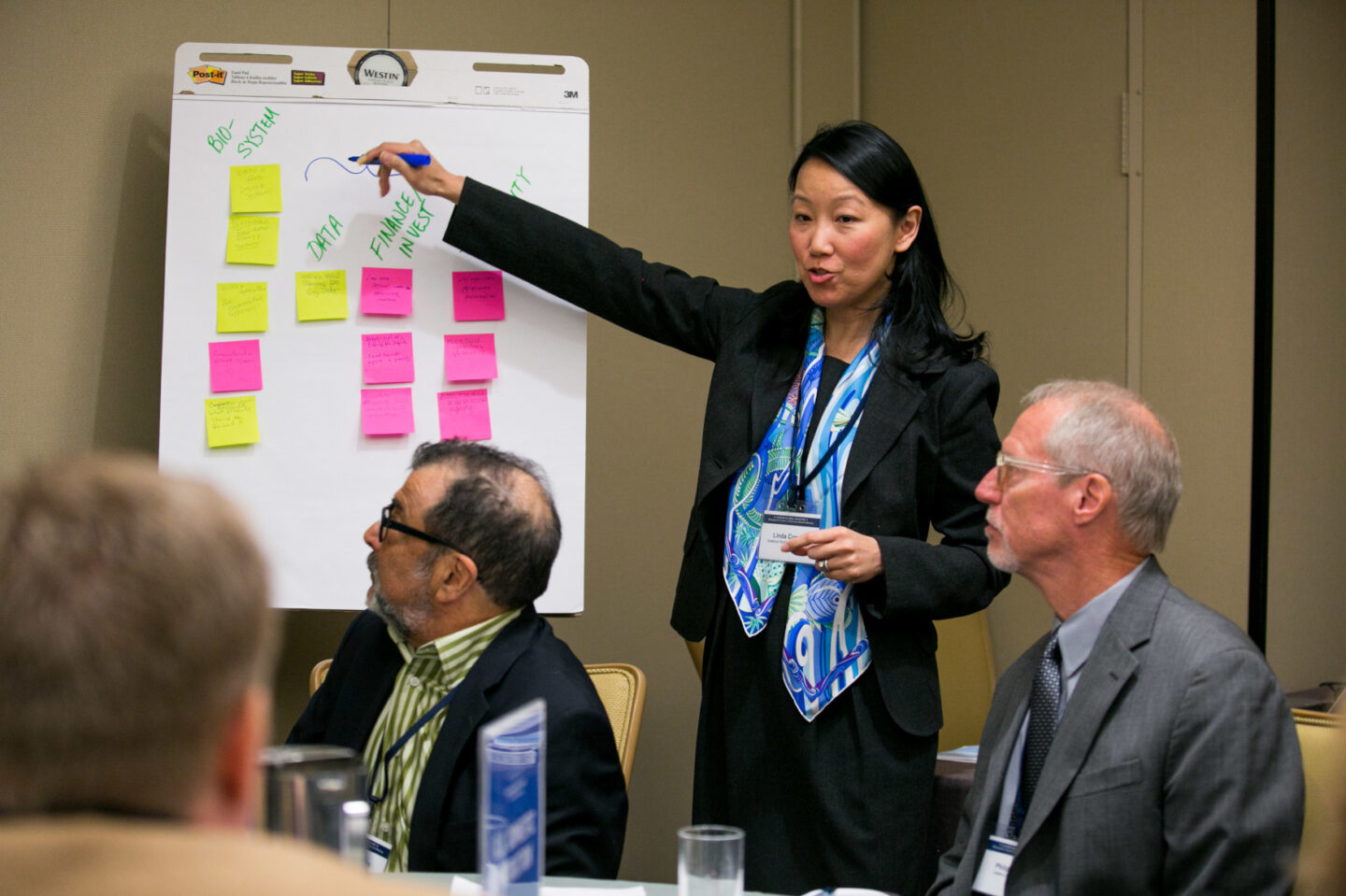 A woman writes notes on a board