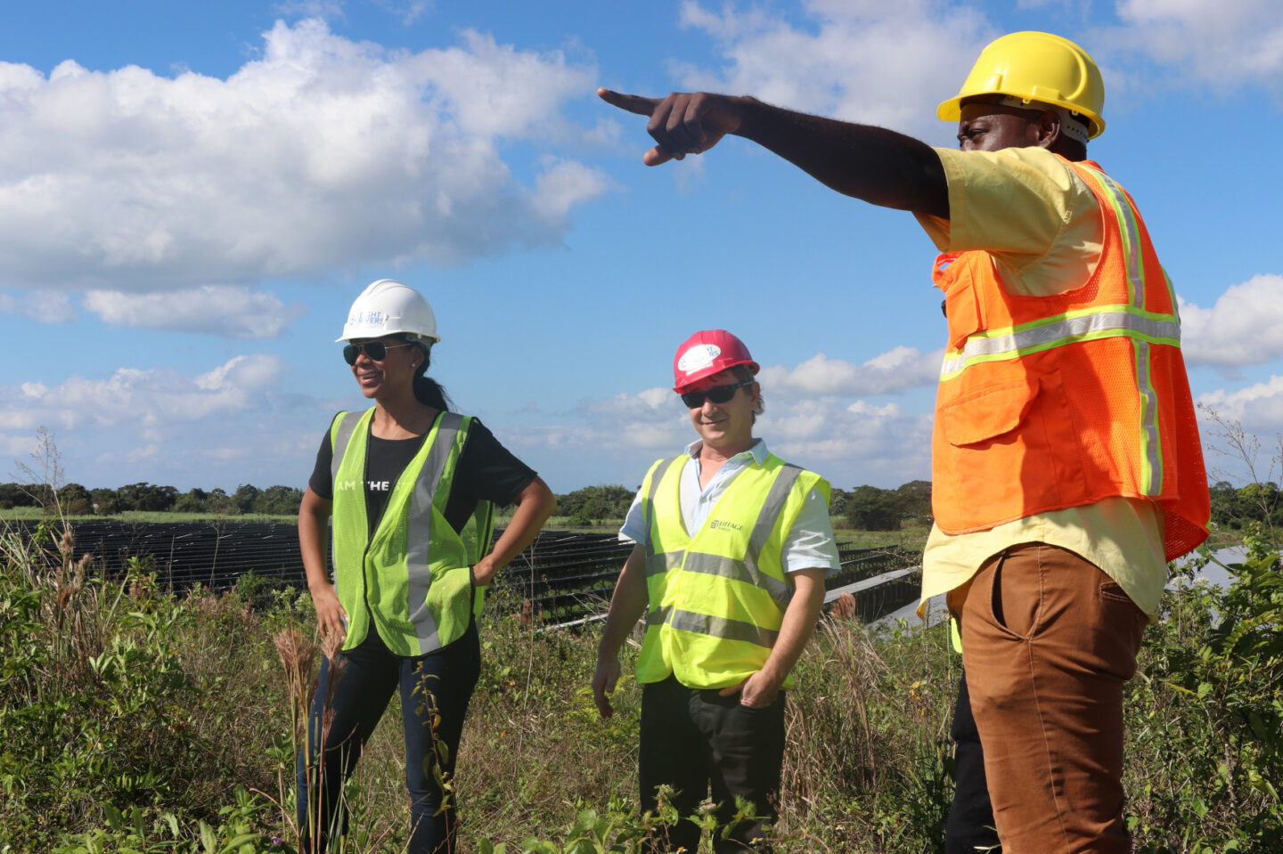 A WIRE Network member and engineers stand near solar panels in a solar energy farm in Jamaica