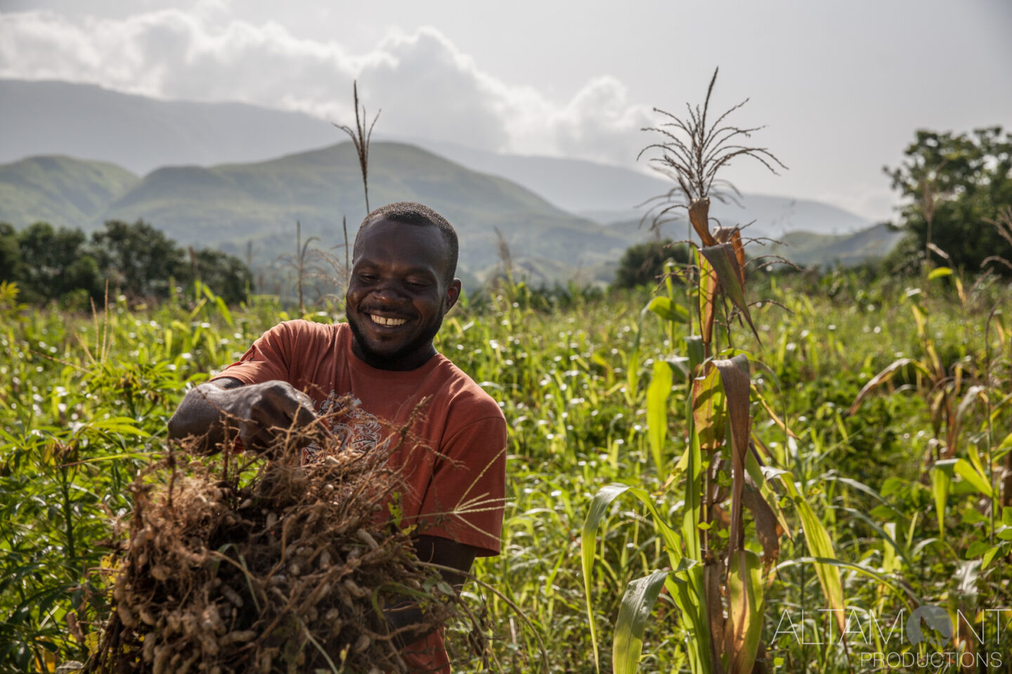 An individual holds crops