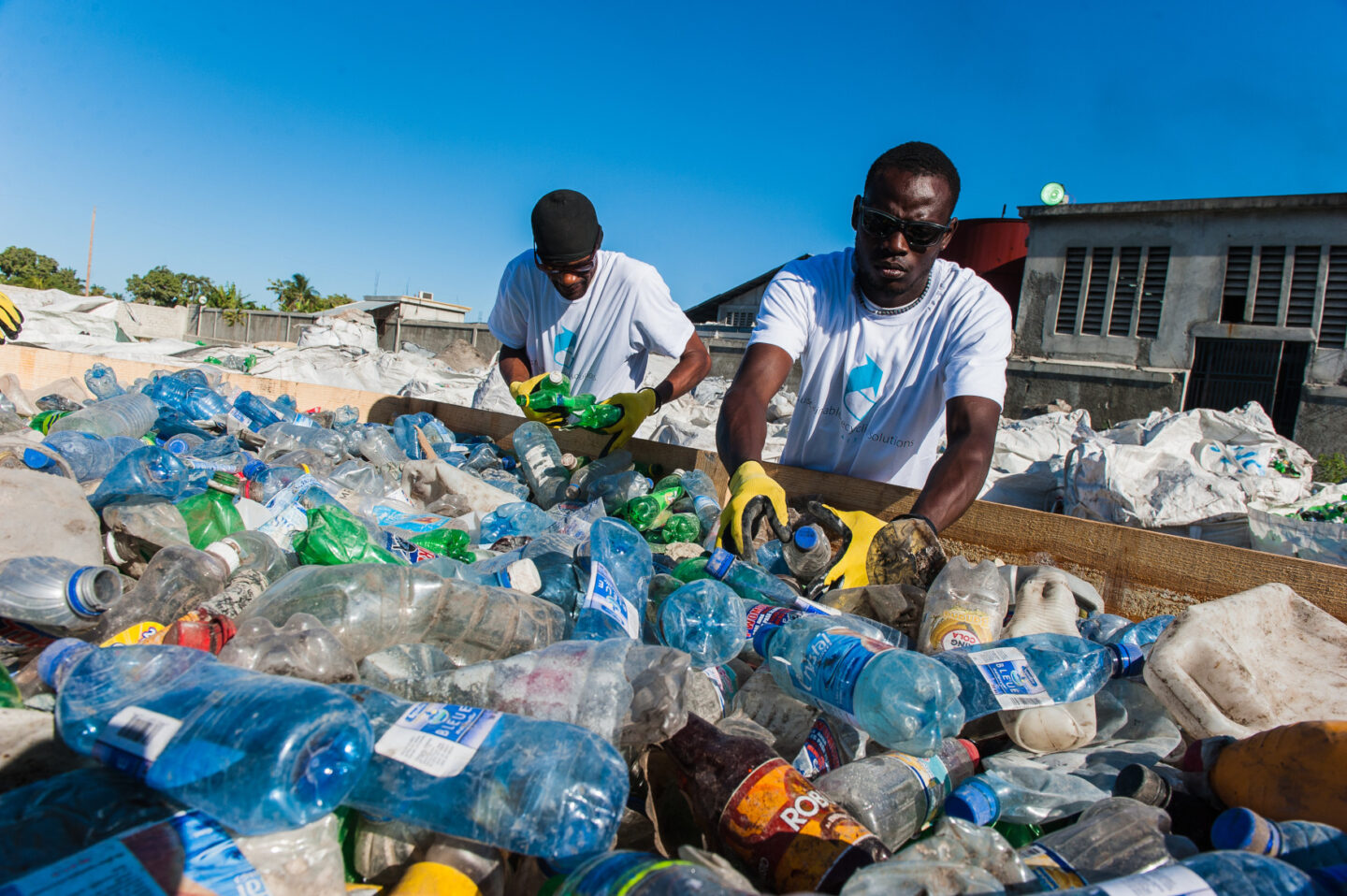 Individuals pick up plastic bottles at a recycling center