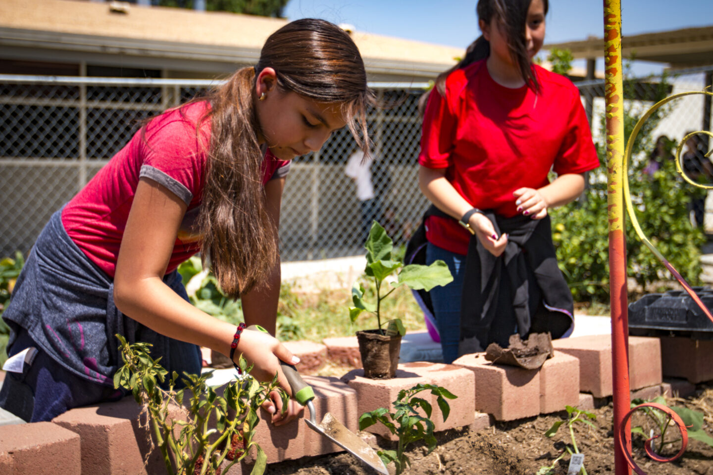 Students help plant a garden at a middle school in California