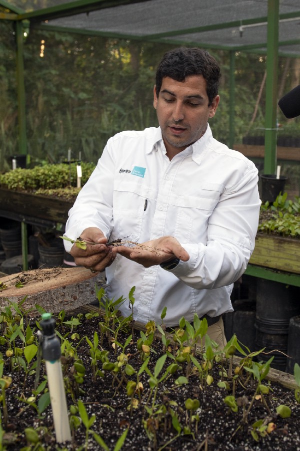 An individual stands in a garden and holds up plants