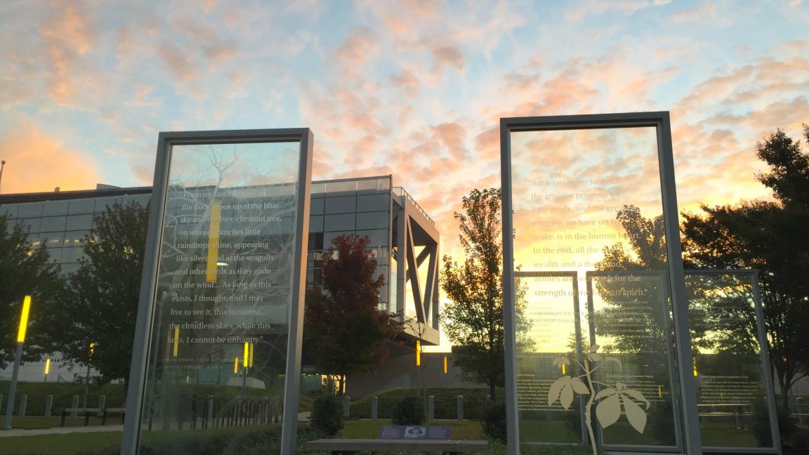 Etched glass panels that are part of the Anne Frank Tree Installation pictured at sunrise