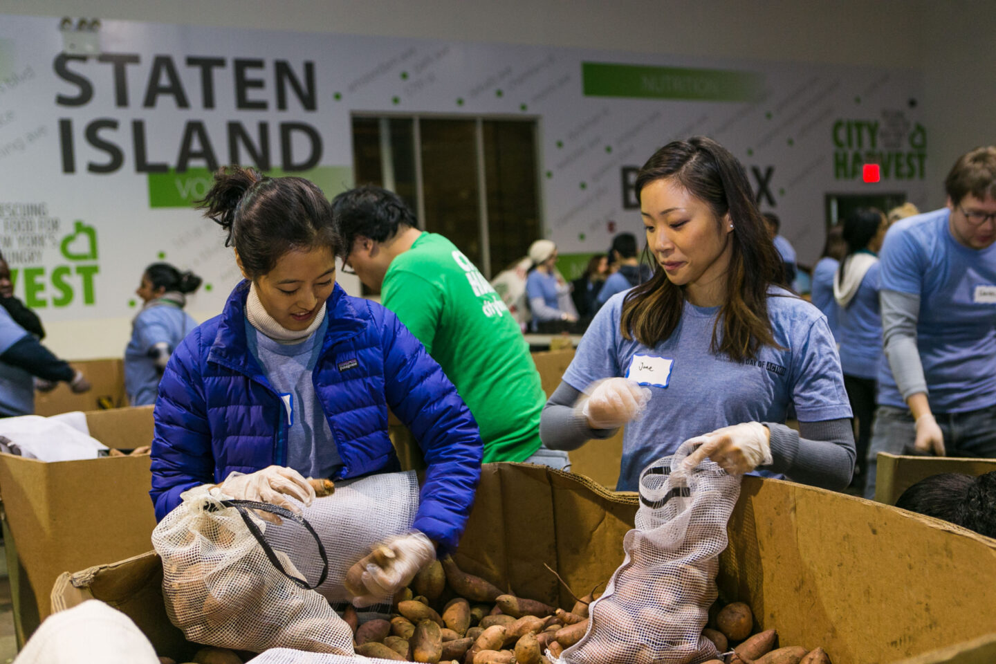 Volunteers fill bags of sweet potatoes