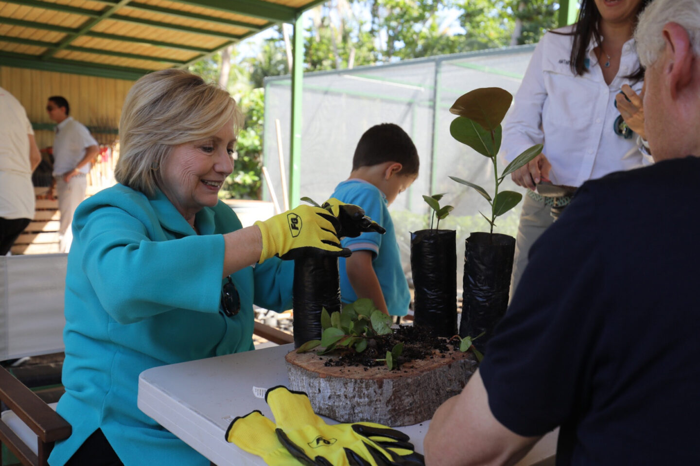 Secretary Clinton plants saplings during a site visit to a tree nursery in Puerto Rico