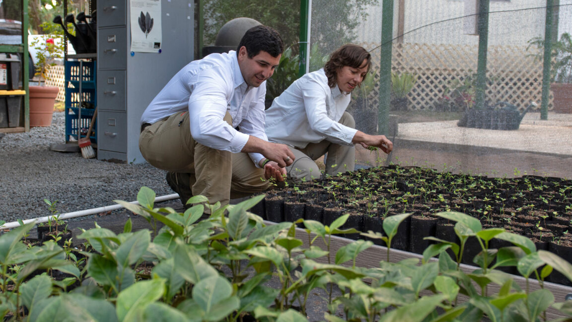 Two individuals kneel inside a garden
