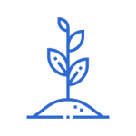 icon of plant growing