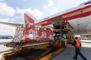 An individual approaches a pallet of medical supplies being loaded onto a plane