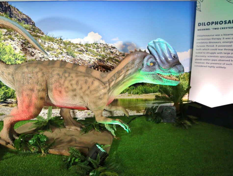 Dilophosaurus