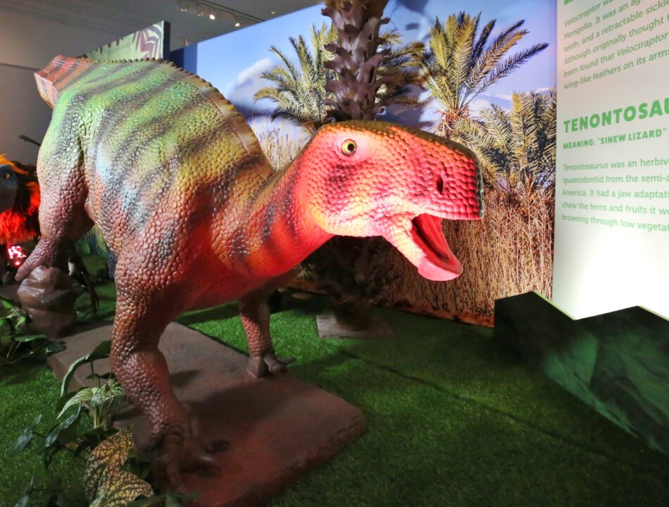 Tenontosaurus