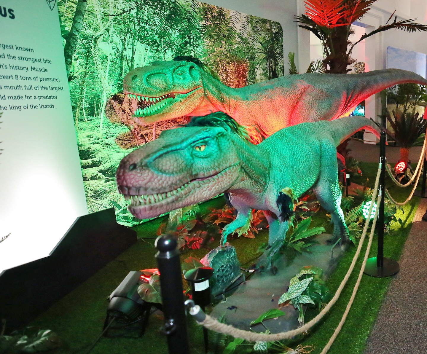 Dinosaur Explorer
