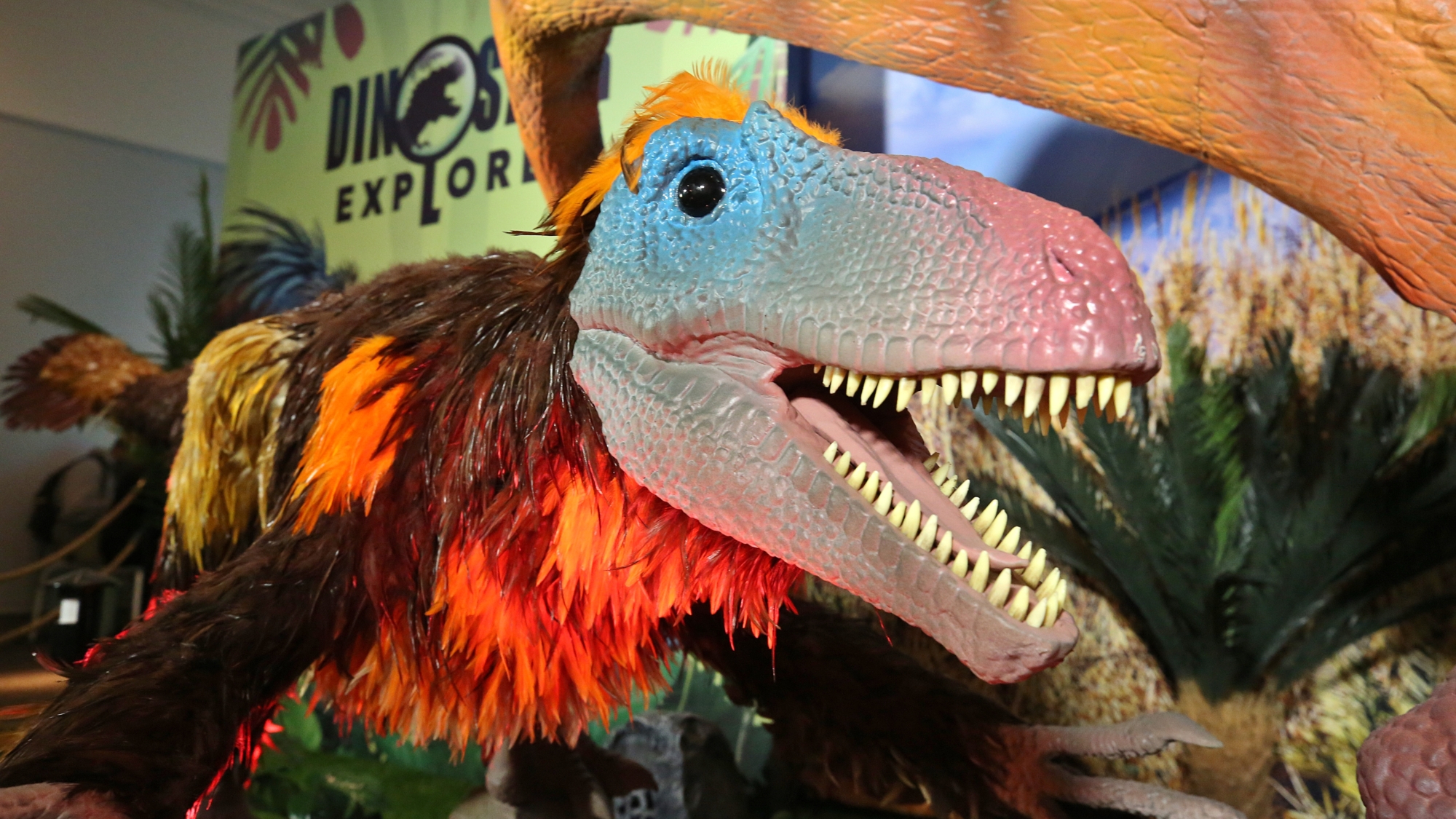 Dinosaur Explorer