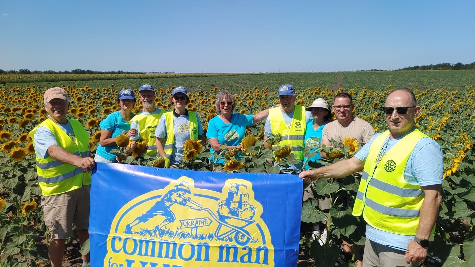 Common Man for Ukraine team in a sunflower field
